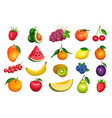 berries and fruits in cartoon style vector image vector image
