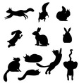 isolated black silhouettes cat rabbit squirrel vector image