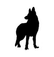 german shepherd dog silhouette vector image