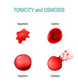 Tonicity is a measure osmotic pressure in Vector Image