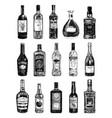 alcohol bottles in art ink style vector image vector image
