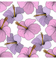 hibiscus floral tropical flowers engraved vector image