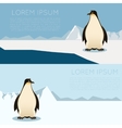 antarctic banner2 vector image vector image
