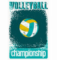 volleyball typographical vintage style poster vector image