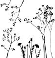collection for designers plant vector image vector image