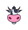 icon cow head design element for logo label vector image