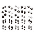 animal and human prints set vector image