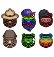 bear fashion set collection vector image