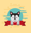 love dog pet vector image
