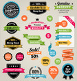 colorful web elements vector image
