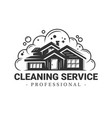 house and soap foam vector image