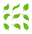 leaf icon logo vegan leaves green eco flat vector image vector image
