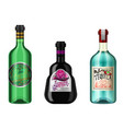 realistic alcohol drinks in a bottle vector image