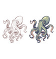 octopus seafood sea animal squid with tentacles vector image