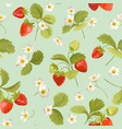 strawberry pattern with flowers wild berries vector image
