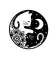 black and white cats in yin yang shape vector image