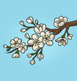cherry blossom pinup pop art vector image