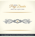 new calligraphic page dividers and elements vector image vector image