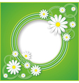 abstract green background with flower chamomile vector image vector image