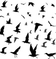 birds silhouettes seamless vector image