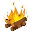 bonfire fire burning flame firewood stack blaze vector image vector image