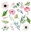 set tiny watercolor anemones leaves berries vector image