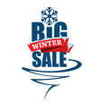 big winter sale inscription vector image