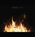 burning fireeffect transparency highly vector image vector image