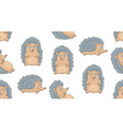 seamless pattern with hedgehogs vector image