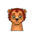 cute lion face cartoon style on white background vector image