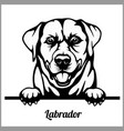 labrador - peeking dogs breed face head vector image