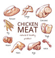 chicken meat parts with names cuisine poster vector image vector image