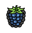 ripe blackberry color icon vector image