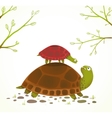 turtle mother and baby childish animal cartoon vector image vector image