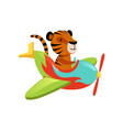 funny tiger flying on multi-colored airplane vector image