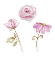 watercolor valentines day delicate roses vector image