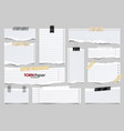 white ripped lined paper strips collection vector image vector image