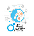 masculine urinary system illness diagnosis vector image vector image