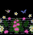 tropical lettering seamless border vector image