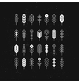 line feathers and arrows vector image
