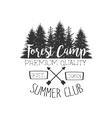 summer club vintage emblem vector image