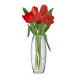 bouquet of red tulips in glass vase vector image