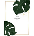 hand drawn monstera palm leavesin jungle vector image vector image