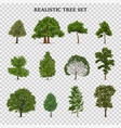 realistic trees transparent set vector image vector image