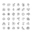 set floral icon in flat design vector image