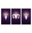 skulls deer goat and ram vector image vector image