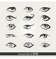 stylized set of eyes vector image vector image