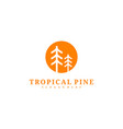 pine tree logo design template tropical forest vector image vector image