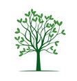 tree with green leafs vector image