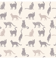 cats seamless silhouette vector image